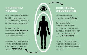 ¿Qué es transpersonal?