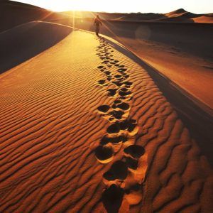 Una luz en el desierto
